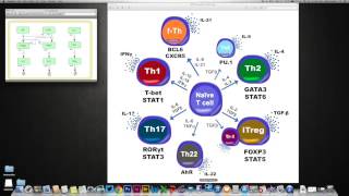 4 9node CellDesigner