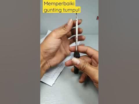 cara memperbaiki gunting yang tumpul!! #shorts #gunting #trikbermanfaat