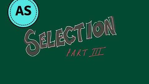 CIE 9608 2.3.3 Selection III - CASE statement