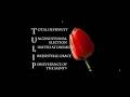 Attributes of God - Overview - 11 Jan 2026