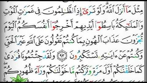 مصحف التجويد صفحة 139 ابراهيم الأخضر 🕋