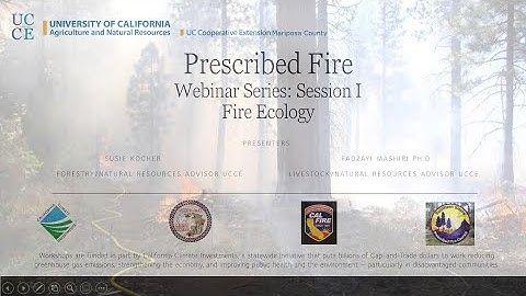 Prescribed Fire Webinar Series - Session 1: Fire Ecology