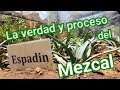 🍹PROCESO DE Elaboración del MEZCAL Parador Casa Espadin ❤️ 🐎