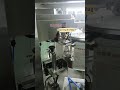 Double Head Weighing Filling Pouch Packing Machine ⚙️🎯💨