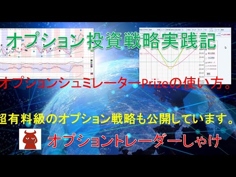 オプション シミュレーターPrizeの説明をしています。