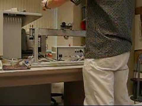 Balance Double Inverted Pendulum