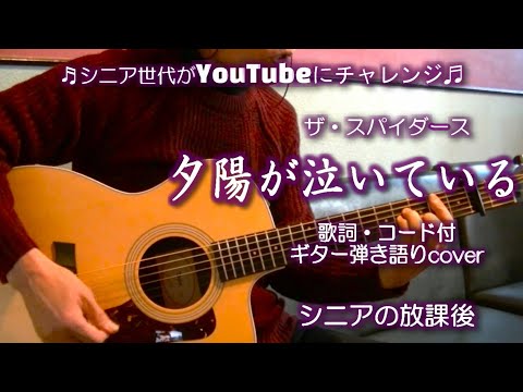 夕陽が泣いている / ザ・スパイダース【アコギ弾き語りcover】/ シニアライフ【昭和の名曲】