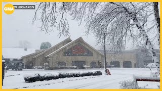 Grocery store chain Stew Leonard’s in full winter storm mode
