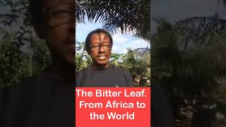 The very bitter leaf #shorts