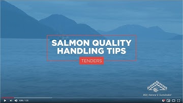 Alaska Salmon Harvesting -- Tender Quality Handling Guide