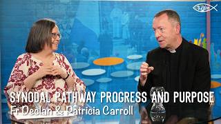 The Irish Synodal Pathway: progress and purpose