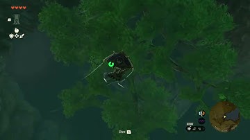 [DAY 113] of finding one korok seed in TotK everyday until a new Zelda game comes out