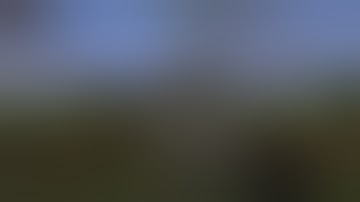 mineplex. bad words filter bypass