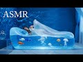 【bath ASMR】フルver. 寝るならどのベッド?|幻想的で不思議なベッド🛏✨|Which bed would you like to sleep in?