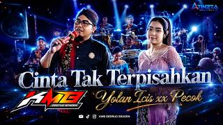 Cinta Tak Terpisahkan - Yolan Ichis Ft Pecok - KMB Musik - ARS Audio - Live Gondangrejo