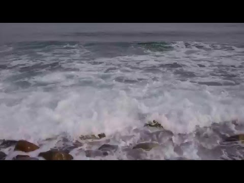 Бухта Ахлестышева, о.Русский
