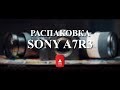 Sony A7R3 Распаковка и пуск (НЕ ТЕСТ)