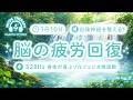 【528Hz・脳疲労回復】ソルフェジオ周波数を用いた自律神経を整える音楽。睡眠導入、ストレス緩和、疲労回復　＃脳の疲れを取る音楽＃自律神経を整える音楽　＃ソルフェジオ周波数