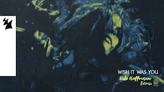 Audien Feat. Cate Downey - Wish It Was You (Nils Hoffmann Remix) [Official Visualizer]