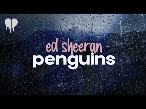 ed sheeran - penguins (lyrics)