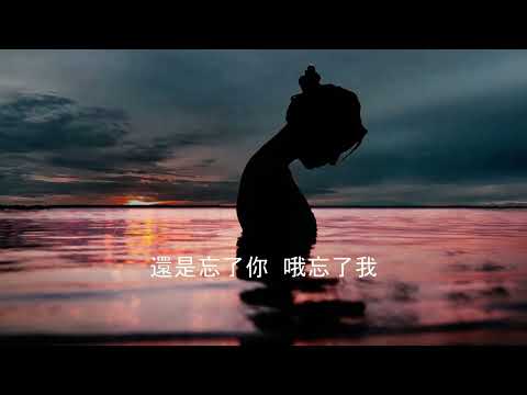 忘了你忘了我 - 粵 (繁中)  [HD] 翻唱版 edition 2022