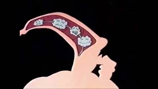 Ill Solve This With My 4 Hyper Intelligent Brains Meme V2