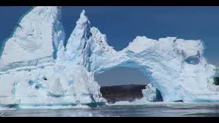 Bonde - Schiuma (ICE MELTS)