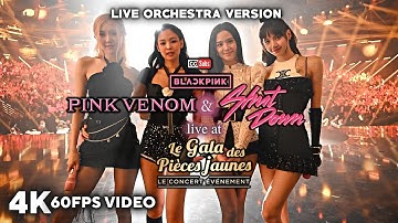 [4K] BLACKPINK - Pink Venom & Shut Down (Live at Le Gala des Pièces Jaunes)