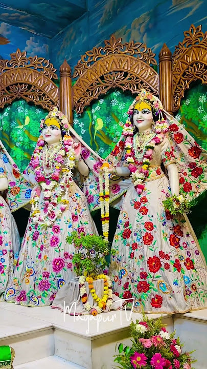 Today’s Darshan of Sri Sri Radhamadhava