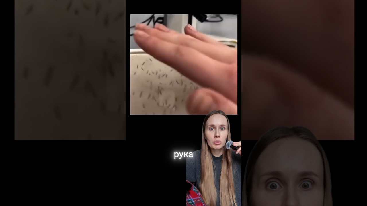 КОМАРЫ ЗАПОМИНАЮТ НАШ ВКУС И ВЫБИРАЮТ ОБЕД ПОВКУСНЕЕ