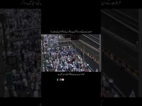 Arfat k din lalchi bano #islam#islamicstatus#shorts