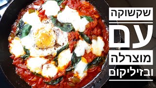 שקשוקה עם מוצרלה ובזיליקום