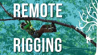Climbing & rigging with a remote anchor | Oak prune over garage |  Weight Reduction tips