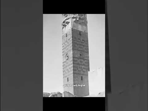 قصة الشيخ محمد الحامد ورؤيته لرسول الله والبشارة