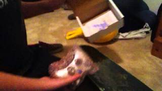 Rapidmodz unboxing