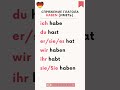 Спряжение глагола HABEN на немецком | Учим за 30 секунд!