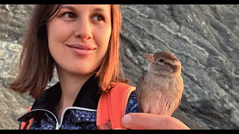 Couple rescues wild sparrow. Now she refuses to leave. - DayDayNews