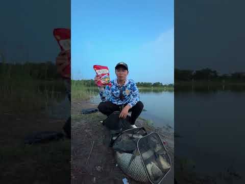 Cá cướp cần nhanh như tên lửa #cauca #fishing #caucathugian