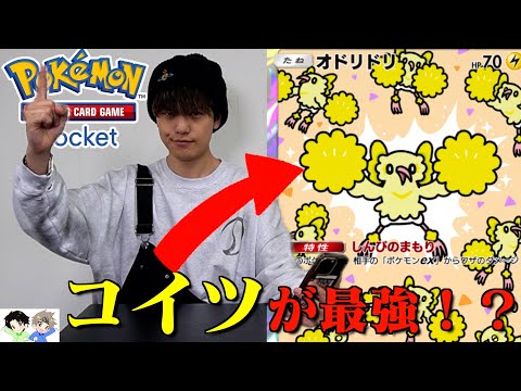 【大流行】ポケポケtear1のオドリドリでバトルしたらガチで余裕勝ちし過ぎたwww