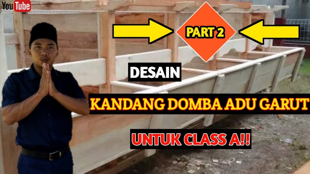 PEMBUATAN KANDANG DOMBA ADU GARUT PART 2!!