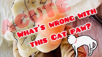 Mochi pimple popping ASMR-Lili