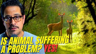 Why does God let animals suffer? | Bible Night Live (Ep. 3)