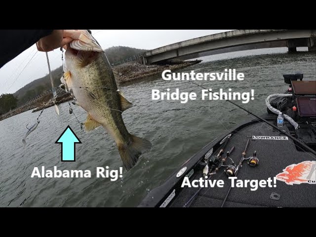 Vary Your Retrieves with Umbrella Rigs for More Bass 