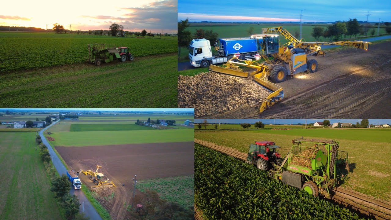 KAMPANIA BURACZANA 2K25. STOLL V100 | ROPA MAUS 6