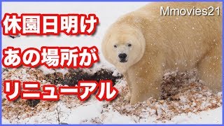 放飼場の一部がリニューアル 雪景色の中で過ごすホッキョクグマたち