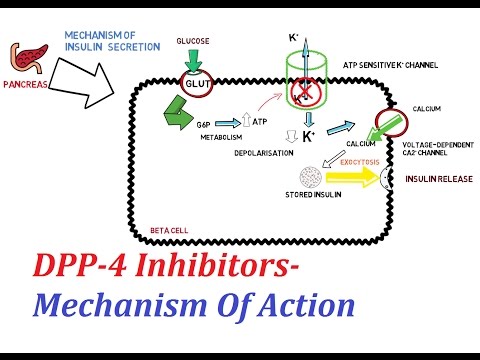 Video: Biocheminių Parametrų Palyginimas Tarp DPP4 Inhibitorių Ir Kitų Geriamųjų Hipoglikemiją Vartojančių Asmenų: Kryžminio Tyrimo Iš Anuradhapura, Šri Lanka