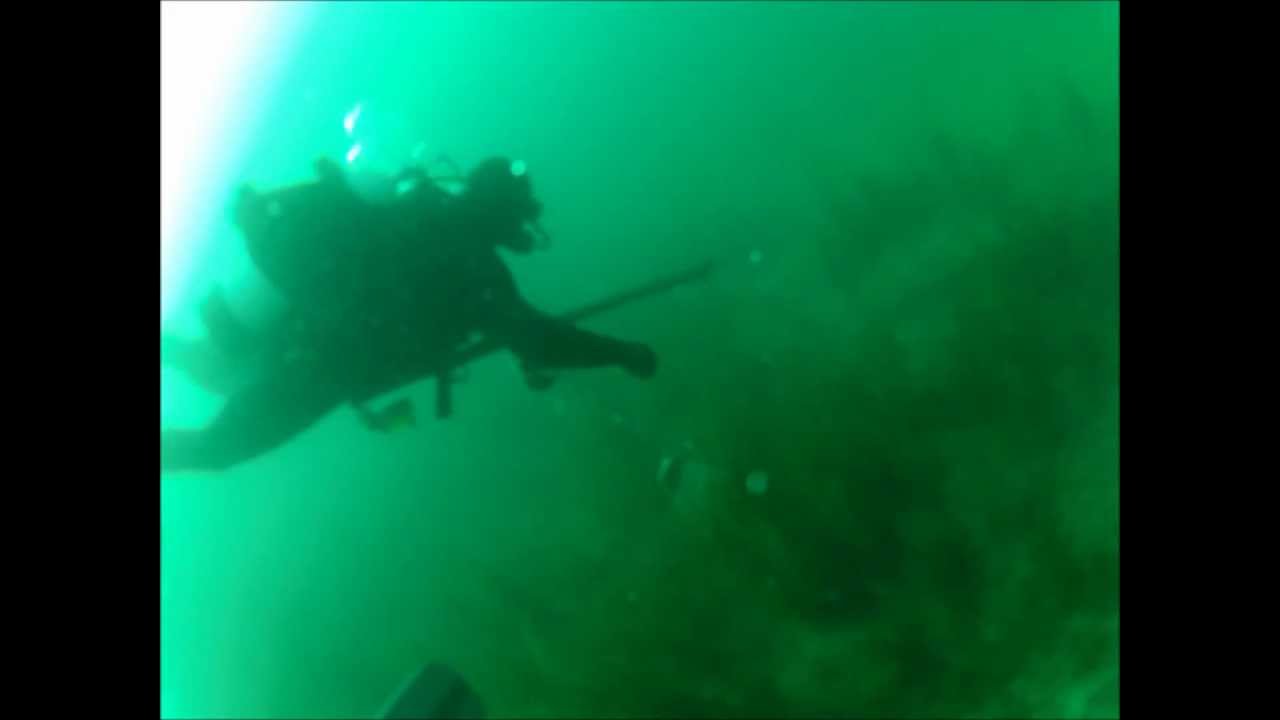 Spearfishing Flounder South of Dog Island, Florida. YouTube