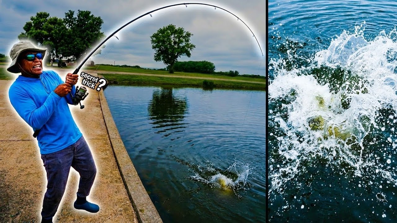 The #1 Pond Fishing Trick That's GUARANTEED to Catch You More Fish