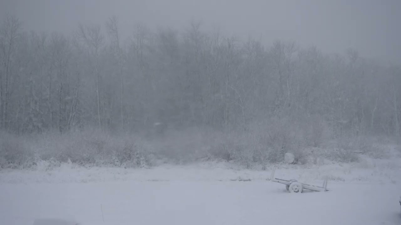 Maine Blizzard at Dusk | Peaceful, Beautiful, Relaxing | 4K HDR
