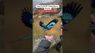 DAY 20 of Photography for Dummies